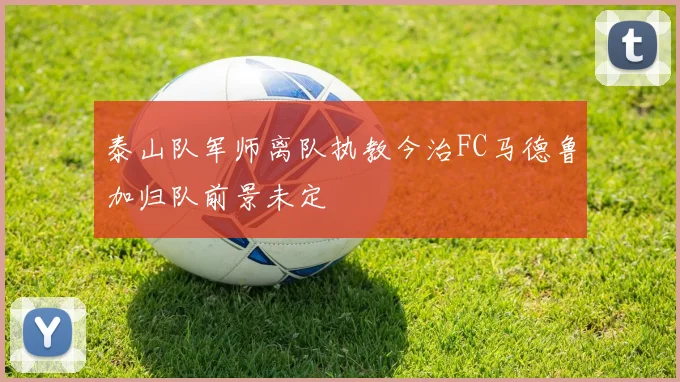 泰山队军师离队执教今治FC马德鲁加归队前景未定